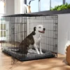 Frisco Heavy Duty Fold & Carry Single Door Collapsible Wire Dog Crate