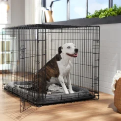 Frisco Heavy Duty Fold & Carry Single Door Collapsible Wire Dog Crate