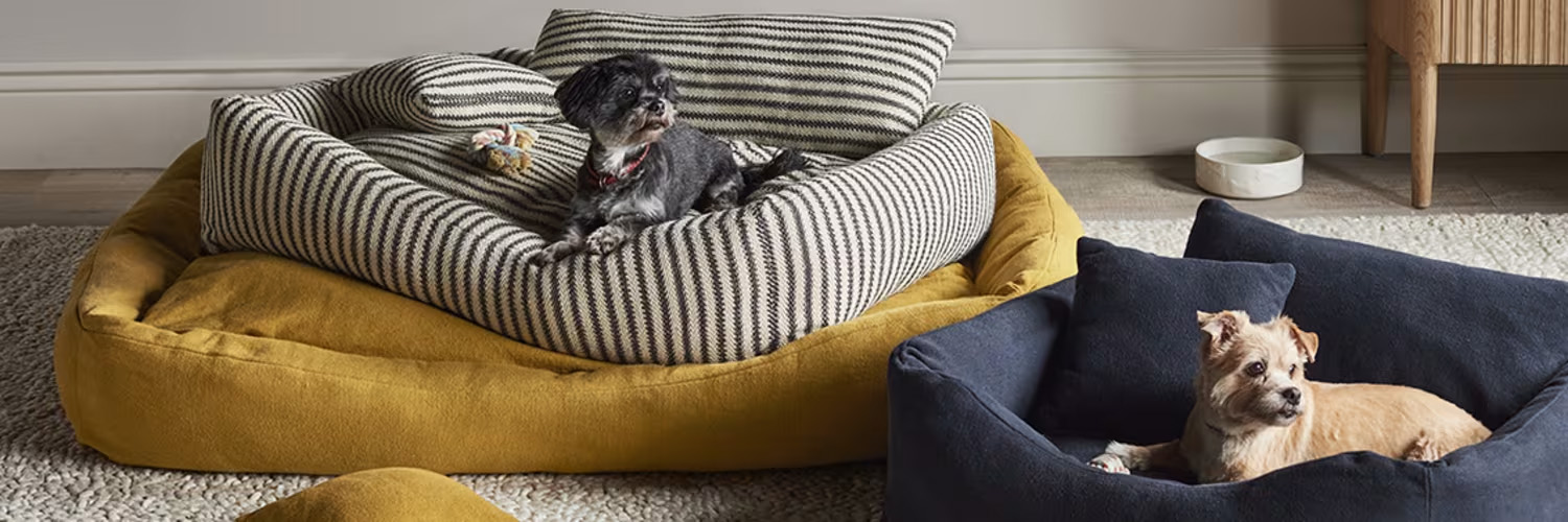 Best Pet Supplies -Best Pet Supplies 2