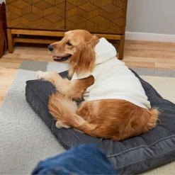 Frisco Plush Fur Dog & Cat Hoodie -Best Pet Supplies 224209 PT7. AC SS1800 V1637685435