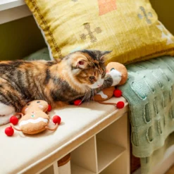 Frisco Holiday Gingerbread Pals Plush Kicker Cat Toy With Catnip, 2 Count 7 Frisco Holiday Gingerbread Pals Plush Kicker Cat Toy With Catnip, 2 Count -Best Pet Supplies 233303 PT2. AC SS1800 V1602172387