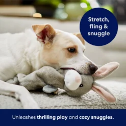 Frisco Bunny Bungee Plush Squeaky Dog Toy -Best Pet Supplies 233612 PT5. AC SS1800 V1691783971