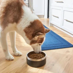 Frisco Insulated Two-Toned Non-Skid Stainless Steel Dog & Cat Bowl -Best Pet Supplies 257168 PT8. AC SS1800 V1615840126