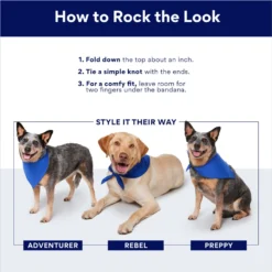 Frisco Blue/Yellow Plaid Dog & Cat Flannel Bandana -Best Pet Supplies 267901 PT6. AC SS1800 V1696278377