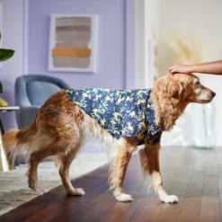 Disney Lion King's Simba Jungle Dog & Cat Shirt -Best Pet Supplies 311842 PT8. AC SS1800 V1643323713