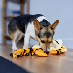 Disney Tigger Bungee Plush Squeaky Dog Toy -Best Pet Supplies 328769 PT3. AC SS1800 V1657718551