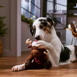 Frisco Holiday Cozy Moose Plush Squeaky Dog Toy 7 Frisco Holiday Cozy Moose Plush Squeaky Dog Toy -Best Pet Supplies 360934 PT3. AC SS1800 V1661874193