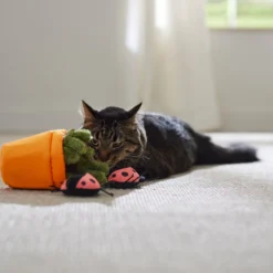 Frisco Spring Potted Plant And Ladybugs Interactive Plush Cat Toy With Catnip -Best Pet Supplies 541542 PT3. AC SS1800 V1671814448